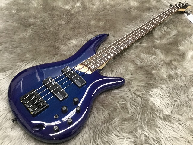 島村楽器　宮城　利府　エレキベース　Ibanez　4弦