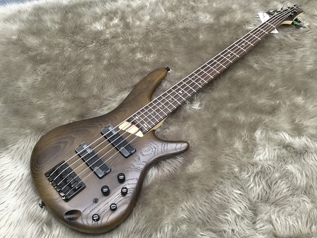 島村楽器 宮城 利府 エレキベース Ibanez 5弦