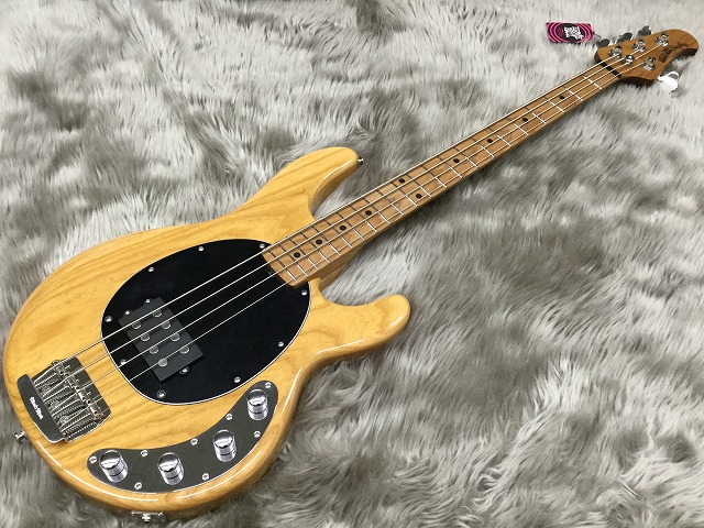 島村楽器 宮城 利府 ベース ミュージックマン スティングレイ