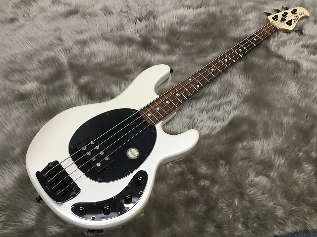 島村楽器 宮城 利府 エレキベース MUSICMAN