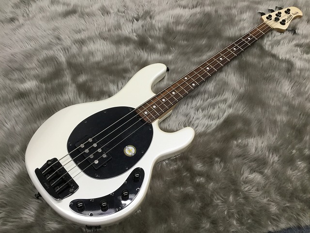 島村楽器　宮城　利府　エレキベース　MUSICMAN　