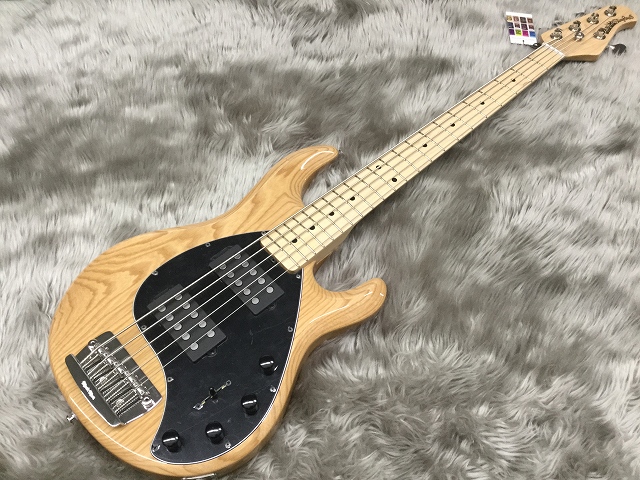 島村楽器　宮城　利府　エレキベース　ベース　MUSICMAN　スティングレイ