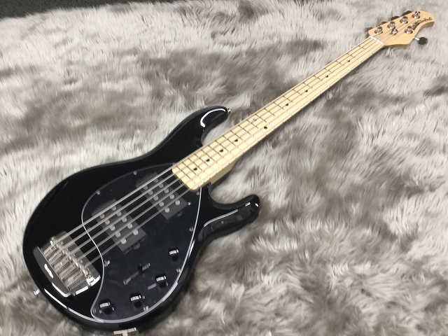 島村楽器　宮城　利府　エレキベース　ベース　MUSICMAN　スティングレイ