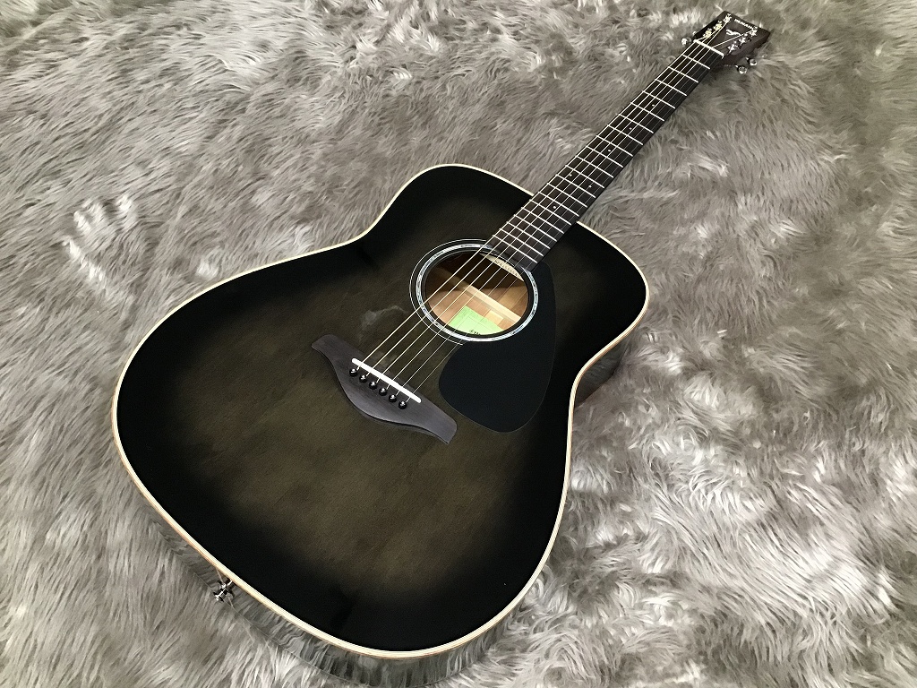 【入荷情報】島村楽器限定！エレアコ、YAMAHA FGX865（TBL）入荷しました！