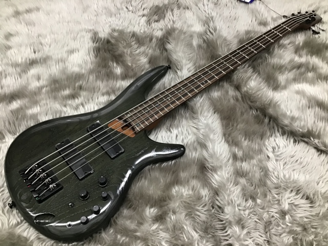 島村楽器　利府　エレキベース　宮城　Ibanez