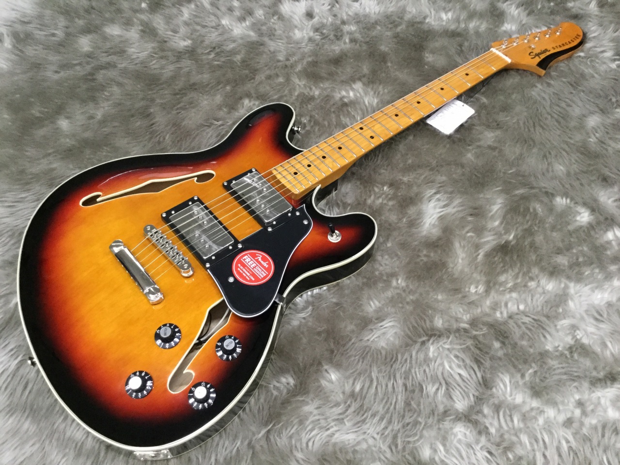 【入荷情報】70年代に誕生したセミホローギター Squier  CV STARCASTER MN 3TS
