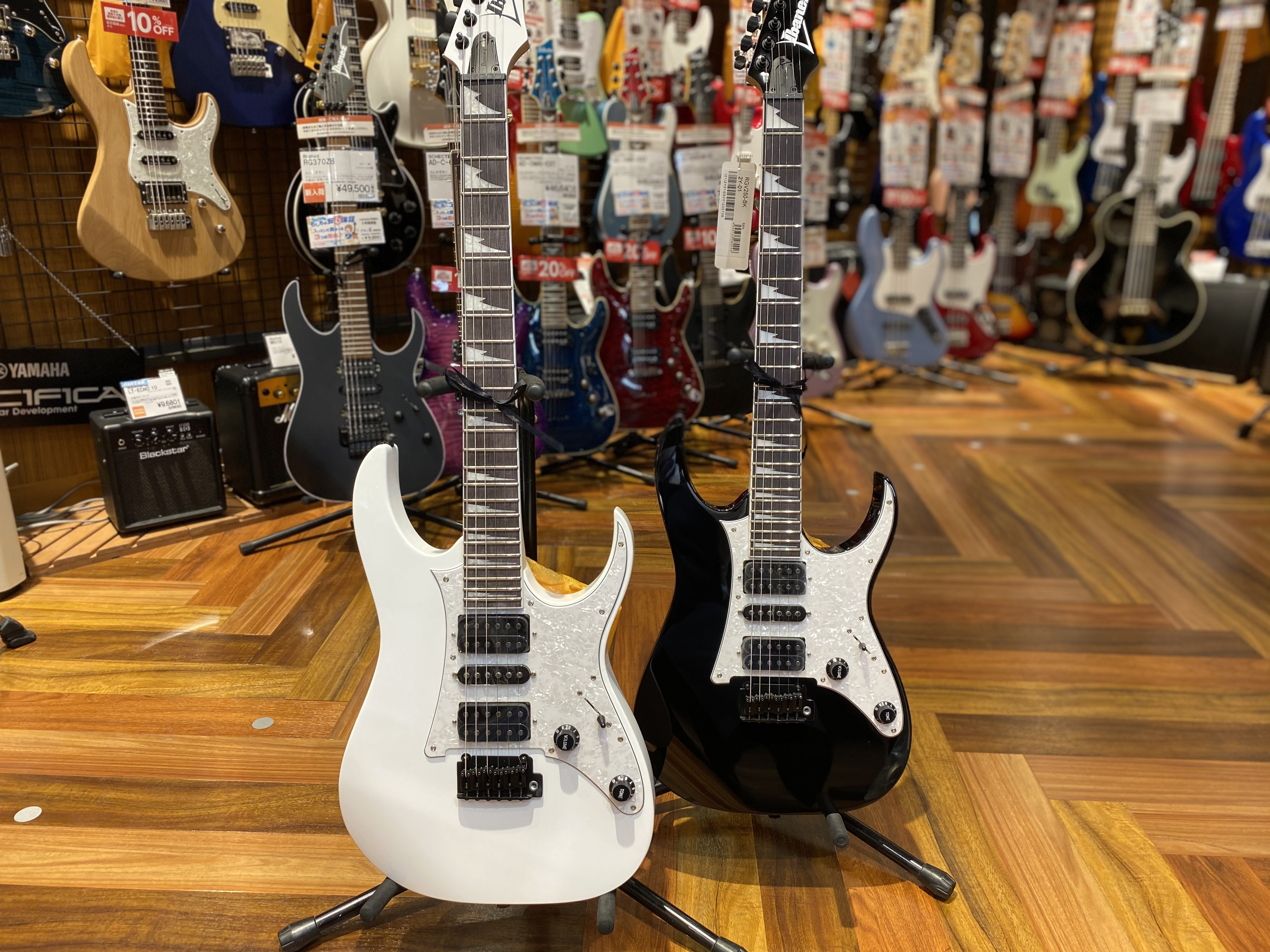 島村楽器限定！初心者にも扱いやすいIbanez RGV250が入荷！
