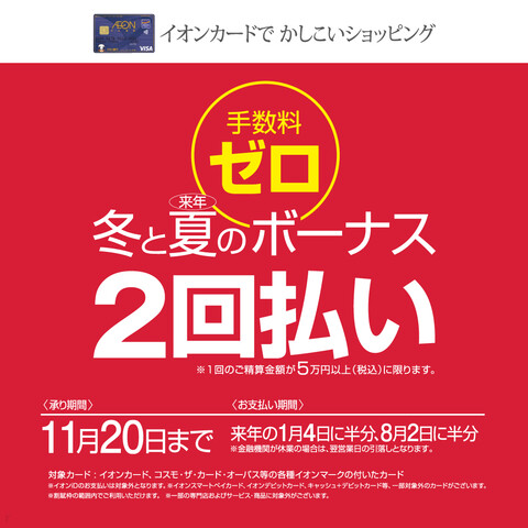 【キャンペーン】イオンカード 冬と夏のボーナス2回払い⼿数料0！