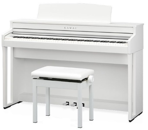 KAWAI CA4900GP(PW)<br />
\182,600→￥173,470<br />
<br />
【展示1台限り】<br />
88鍵全て木製鍵盤。<br />
4スピーカー、木製鍵盤搭載の入門モデルです。<br />
レッスンを始めたばかりの方におすすめ！<br />
高低イス、ヘッドホン付属。<br />
宮城県基本配送設置料￥0（2階以上は別途特殊作業料あり）