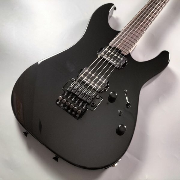 SCHECTER L-NV-3-24-AL-2H/R 【ステンレスフレット】【オーダーモデル】 シェクター
