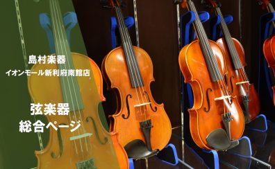 【弦楽器総合案内】入門バイオリンをお探しでしたら新利府南館店へ！