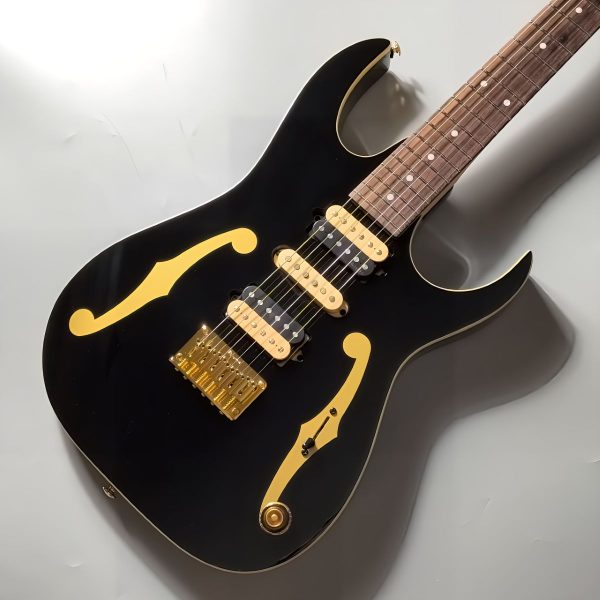 Ibanez PGM50 Black Paul Gilbert Model<br />
￥198,000(税込)