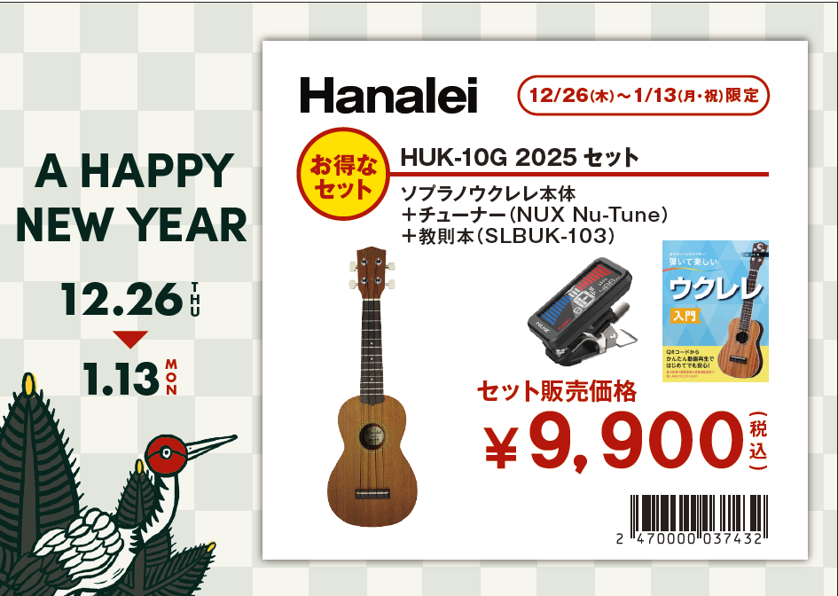HanaleiHUK-10Gセット