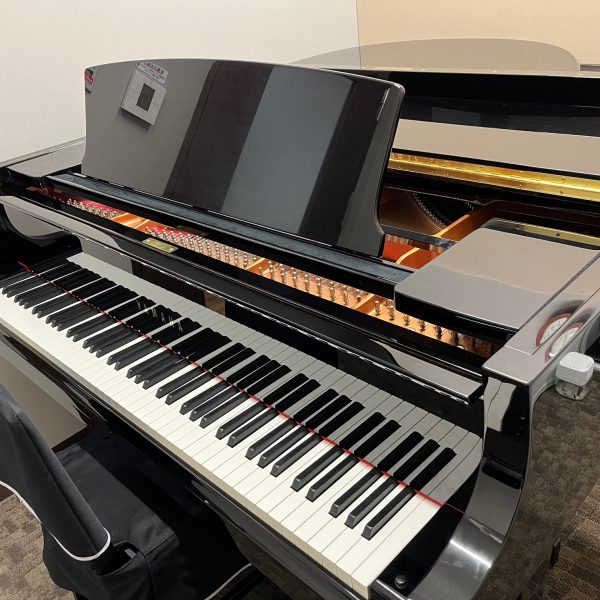 レッスン概要・料金<br />
ピアノ