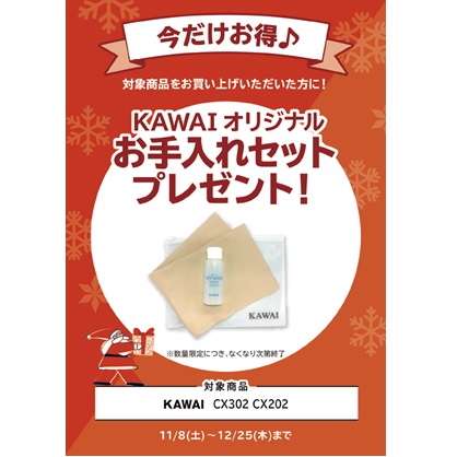 KAWAIオリジナルお手入れセットプレゼント