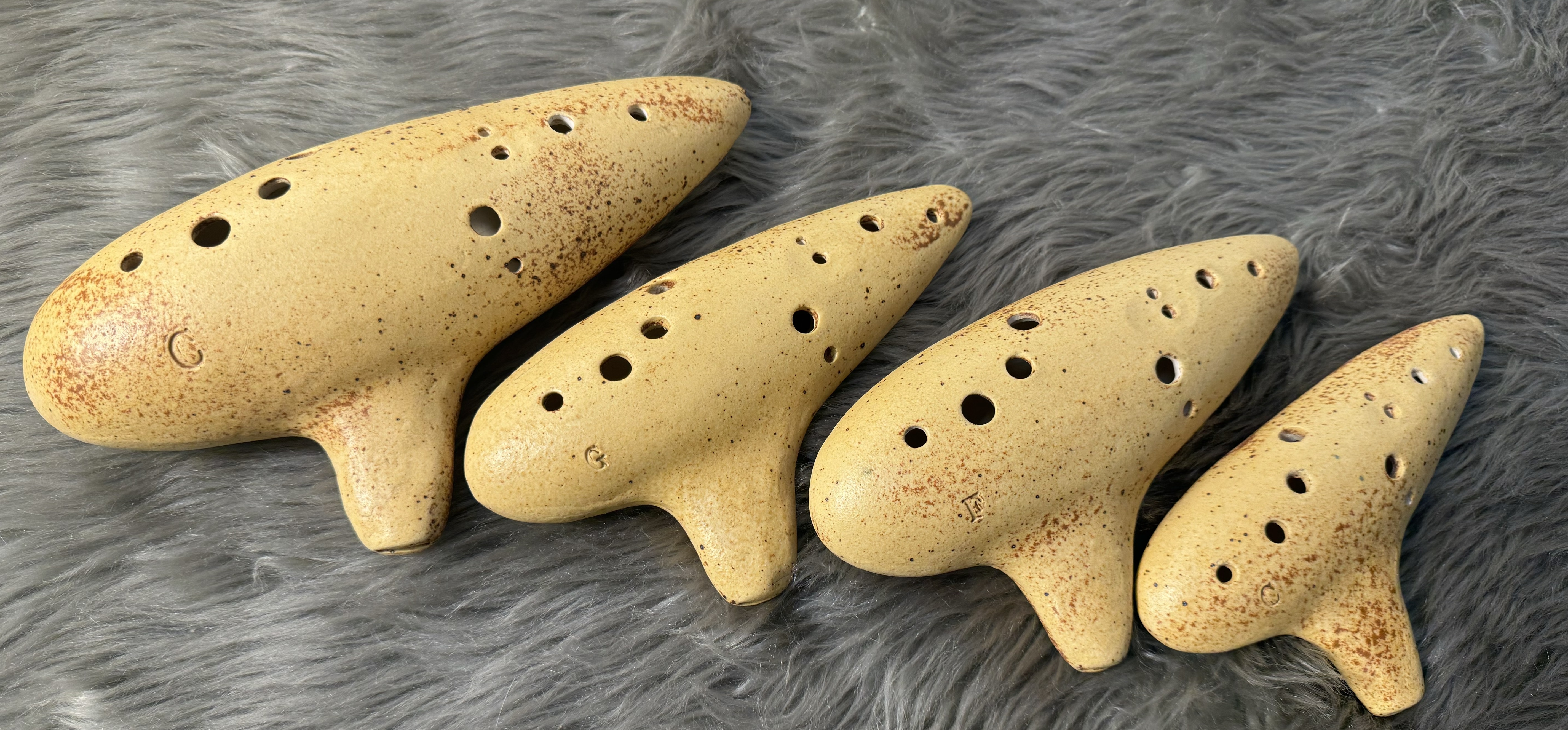 今回は4種類のモデルが展示されます！さくら工房