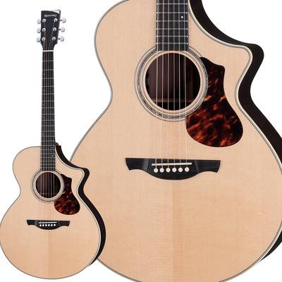 アコースティックギターHISTORY　NT-C3