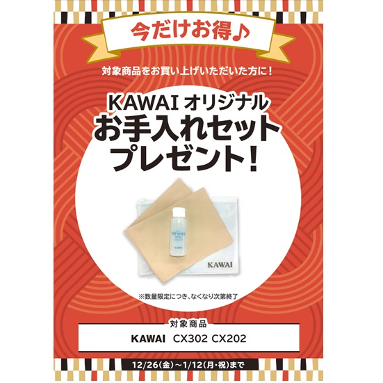 お手入れセット プレゼント