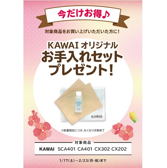 お手入れセット プレゼント