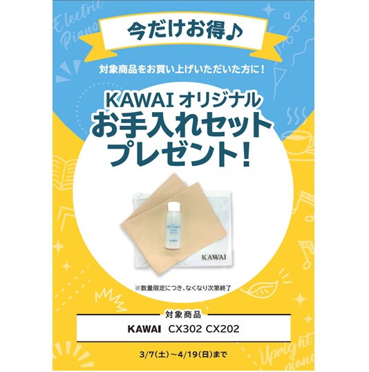 お手入れセット プレゼント