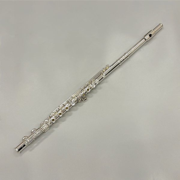 レッスン概要・料金<br />
フルート