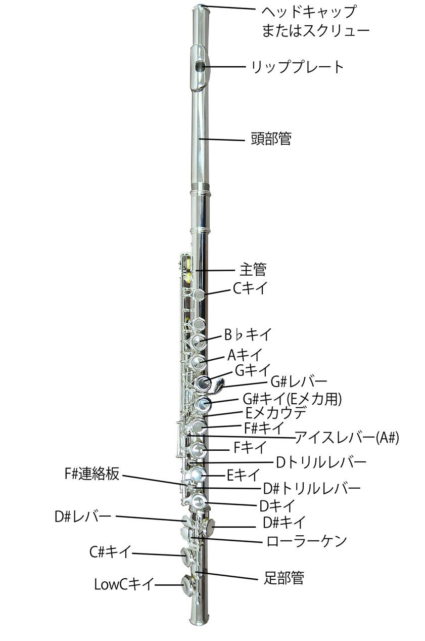 フルート】初心者向け完全マニュアル2023～りんくうアウトレット店