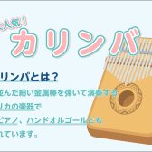 気軽に始められる楽器「カリンバ」の在庫情報♪