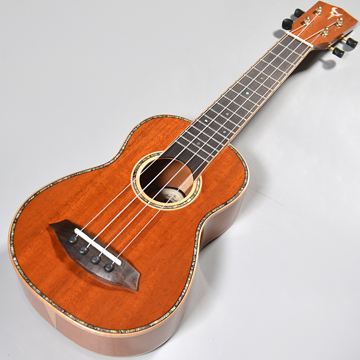 DCT DS-02