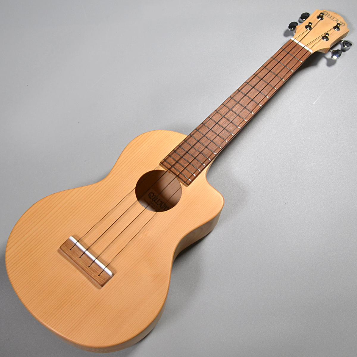 QUIAMThrough neck Concert