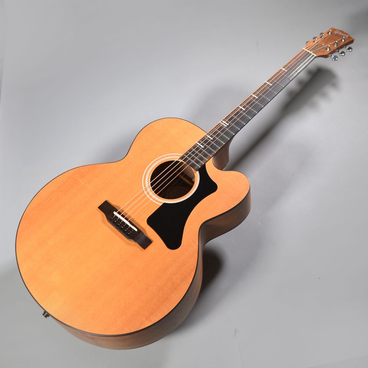 GibsonG-200 EC