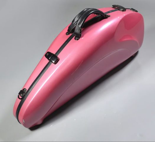 VIVACEVIVACE CASE AS PK