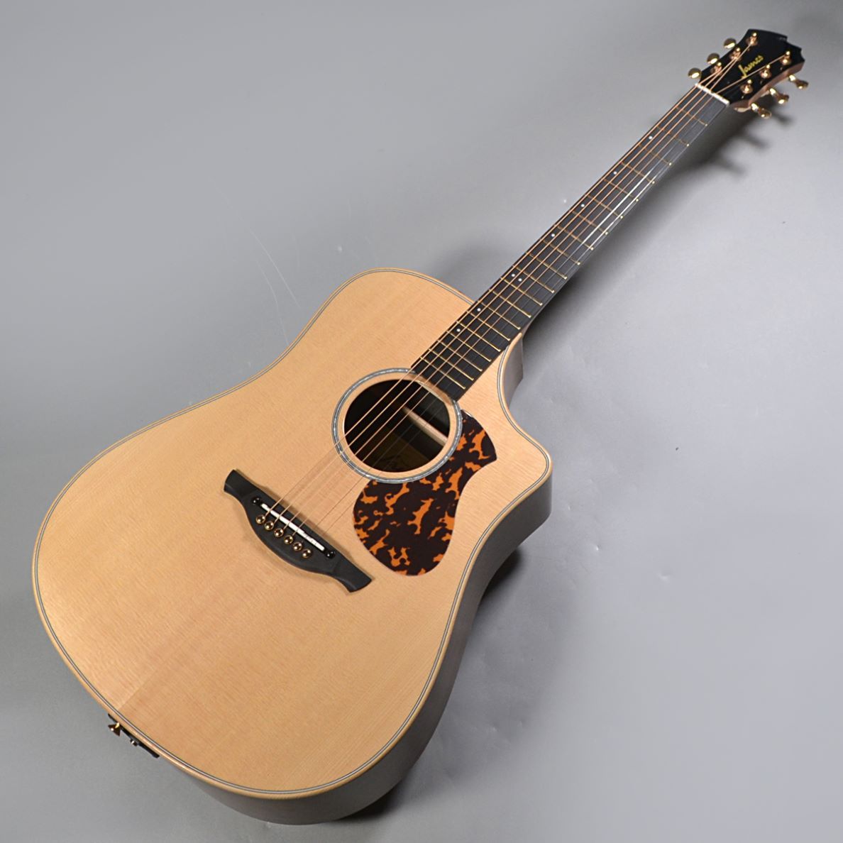 James2601_J-300DCII_P　Nat