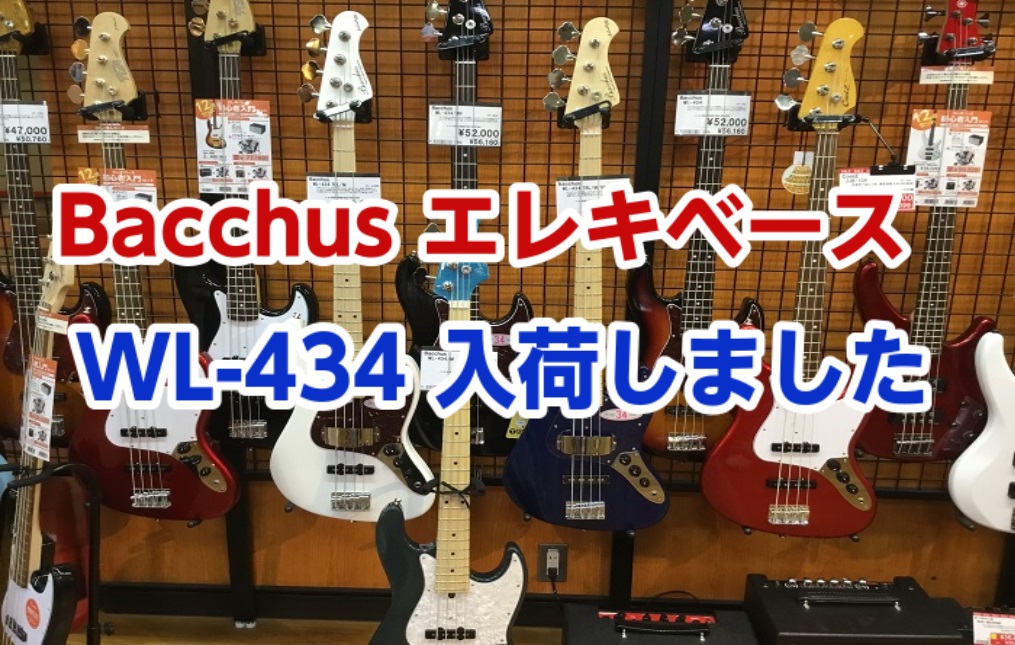 Bacchus / WL-434 (ベース)入荷しました！