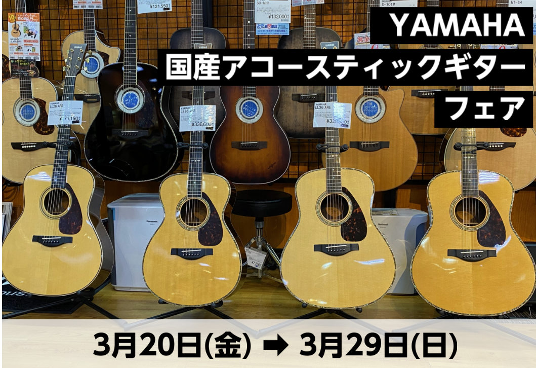 【期間限定展示】ヤマハ国産アコースティックギターフェア　3/29まで！