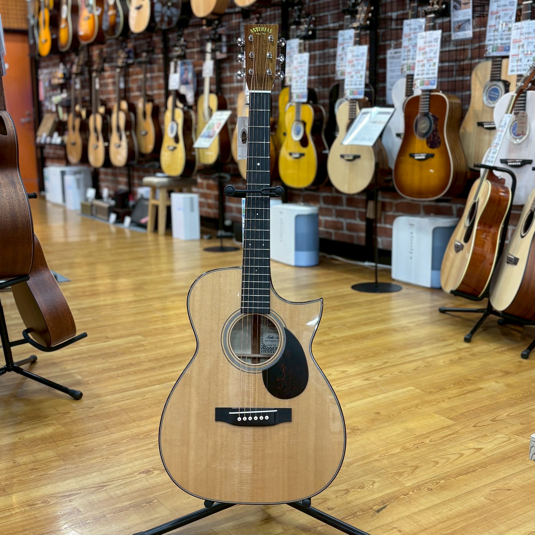 ASTURIASSOLO STANDARD LTD/FM