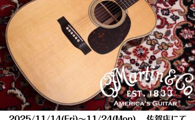 Martinフェア開催！【11/14∼11/24まで】