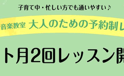 【フルート教室】月2回ゆったりフルートレッスンのご案内♪