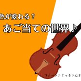 【ヴァイオリン】あご当ての世界♪