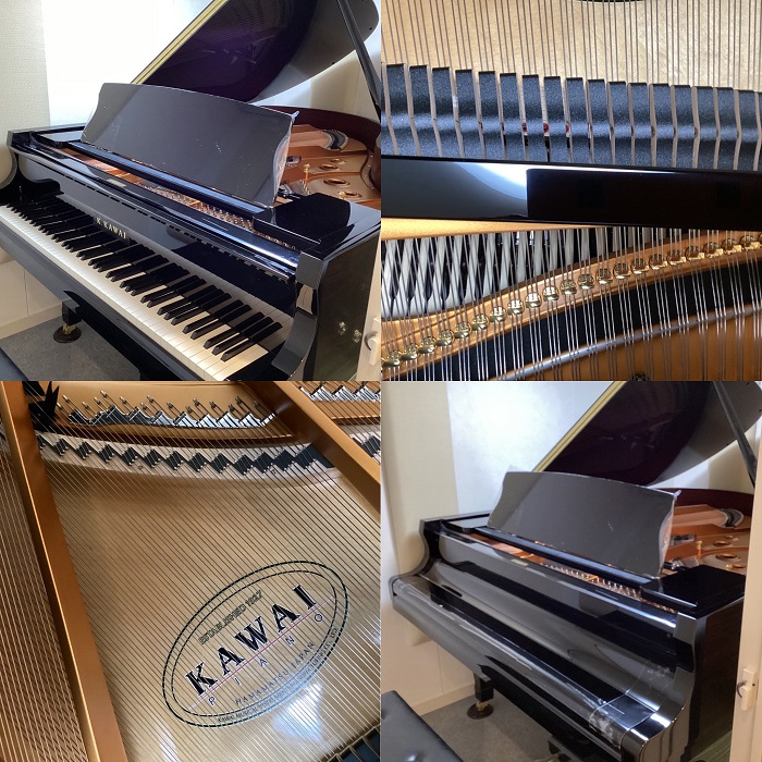 KAWAIGX-3