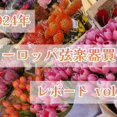 ヨーロッパ弦楽器買付レポート vol.3 イタリア・クレモナ編②