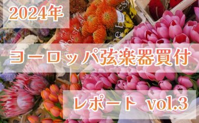 ヨーロッパ弦楽器買付レポート vol.3 イタリア・クレモナ編②