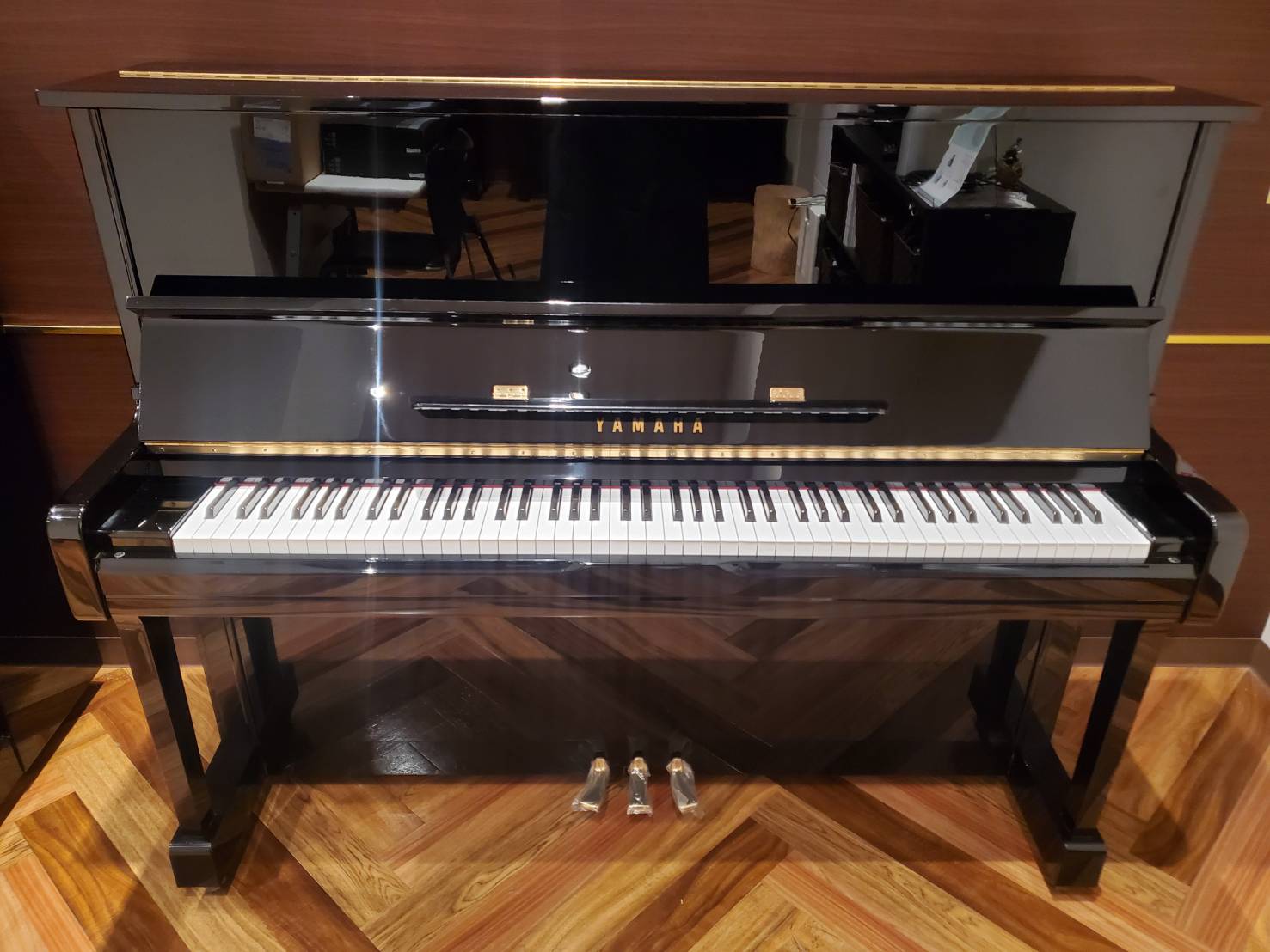 YAMAHAU100