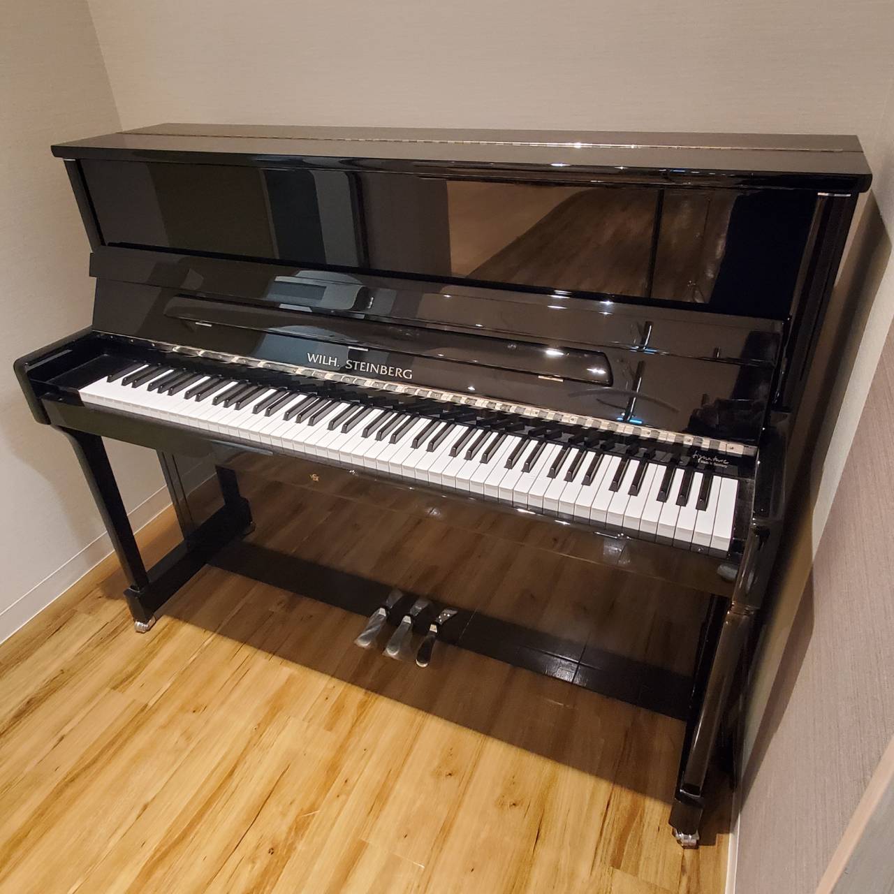 WILL・STEINBERGS117