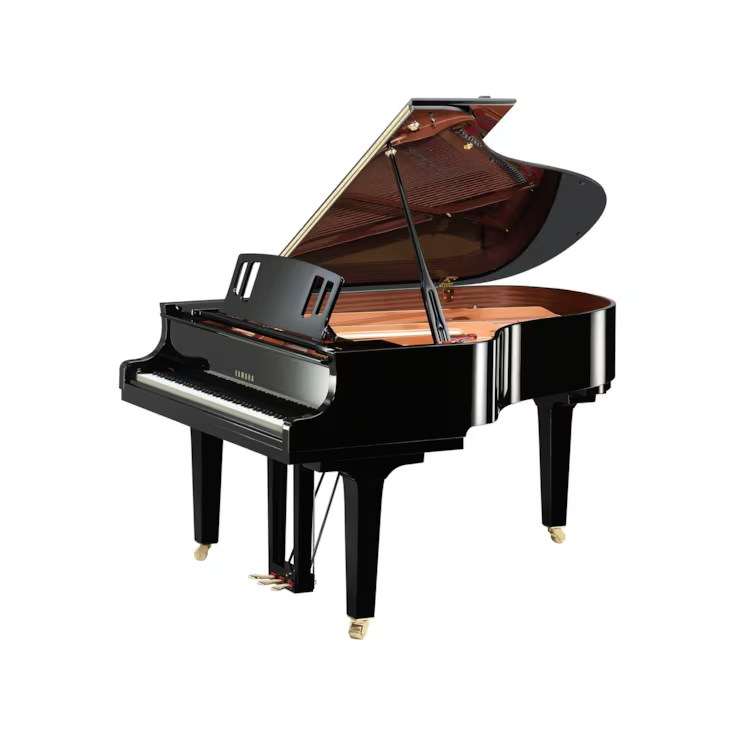 YAMAHAC3X espressivo