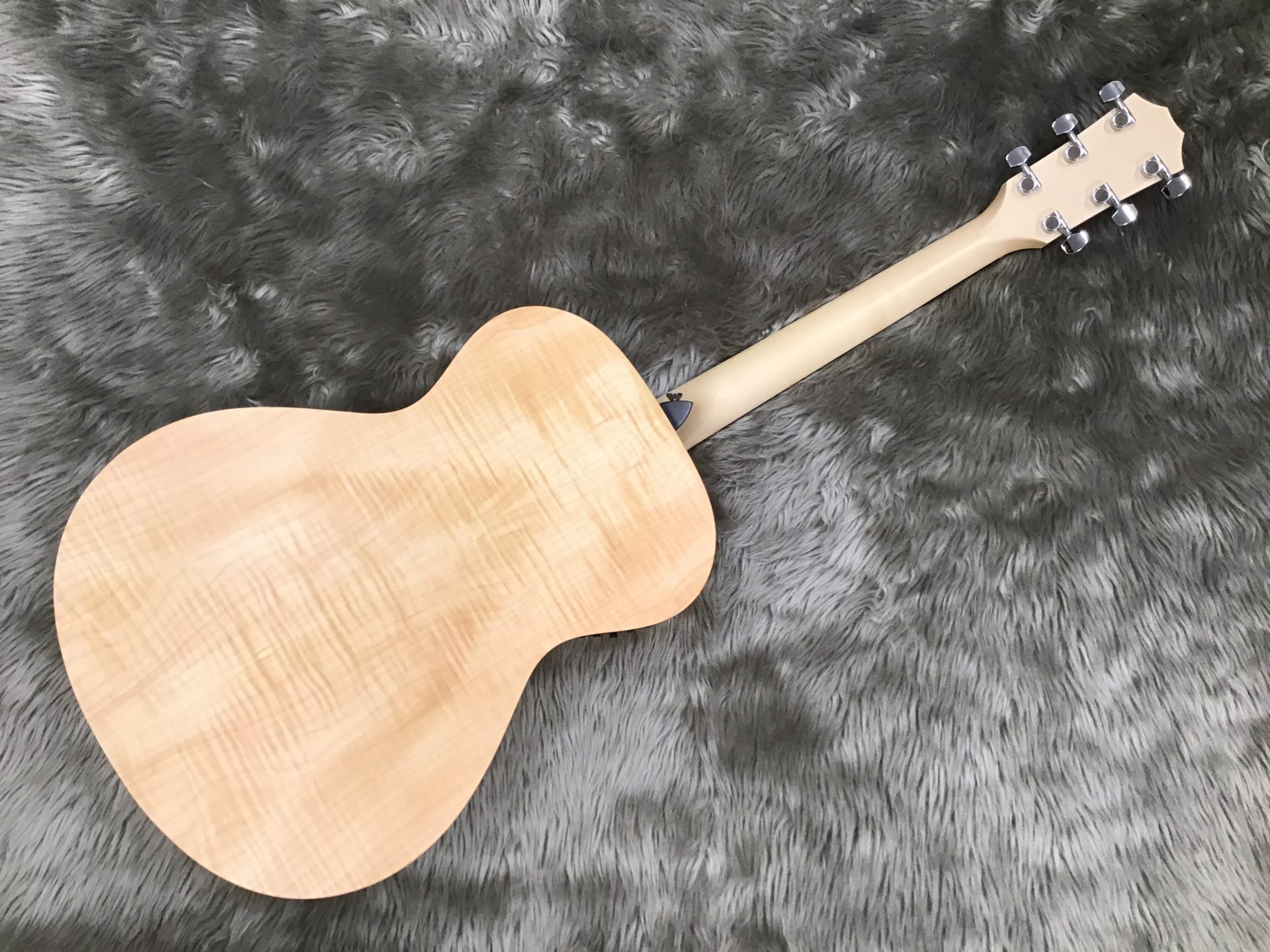 LTD EG Academy 12e裏