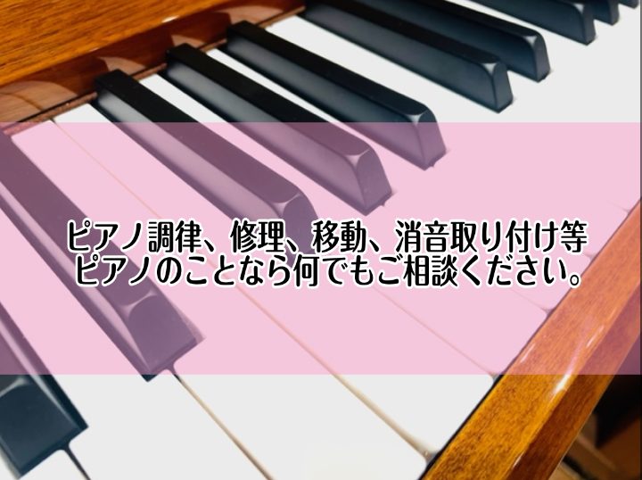 *ピアノのことなら何でも！島村楽器堺北花田店にご相談ください。 『子どもの頃からある古いピアノ、、10年程そのままにしているけどまだ弾けるのかしら？』]]「実家にあるピアノを自宅に持ってきたいのだけれど、、　」]]『自宅のピアノを弾きたいけれど、音の問題でなかなか弾く時間が確保できない、、』]]そん […]