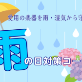 【ギターグッズ】雨の日対策！愛用の楽器を雨・湿気から守ろう！