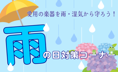 【ギターグッズ】雨の日対策！愛用の楽器を雨・湿気から守ろう！