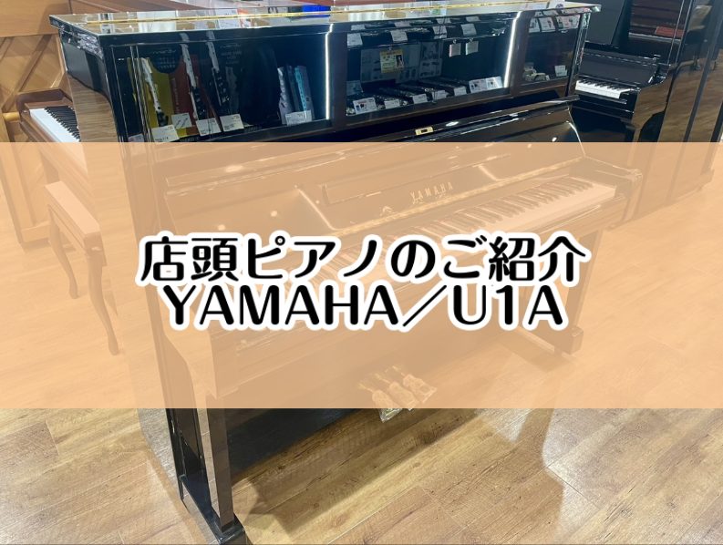 こちらのページでは店頭展示ピアノ【YAMAHA／U1A】をご紹介いたします。 CONTENTS大切なピアノ選びは、島村楽器イオンモール堺北花田店にお任せください。展示ピアノのご紹介【YAMAHA／U1A】グランドピアノ＆アップライトピアノ展示商品一覧専門スタッフがご購入から納品後のサポートまで行いま […]