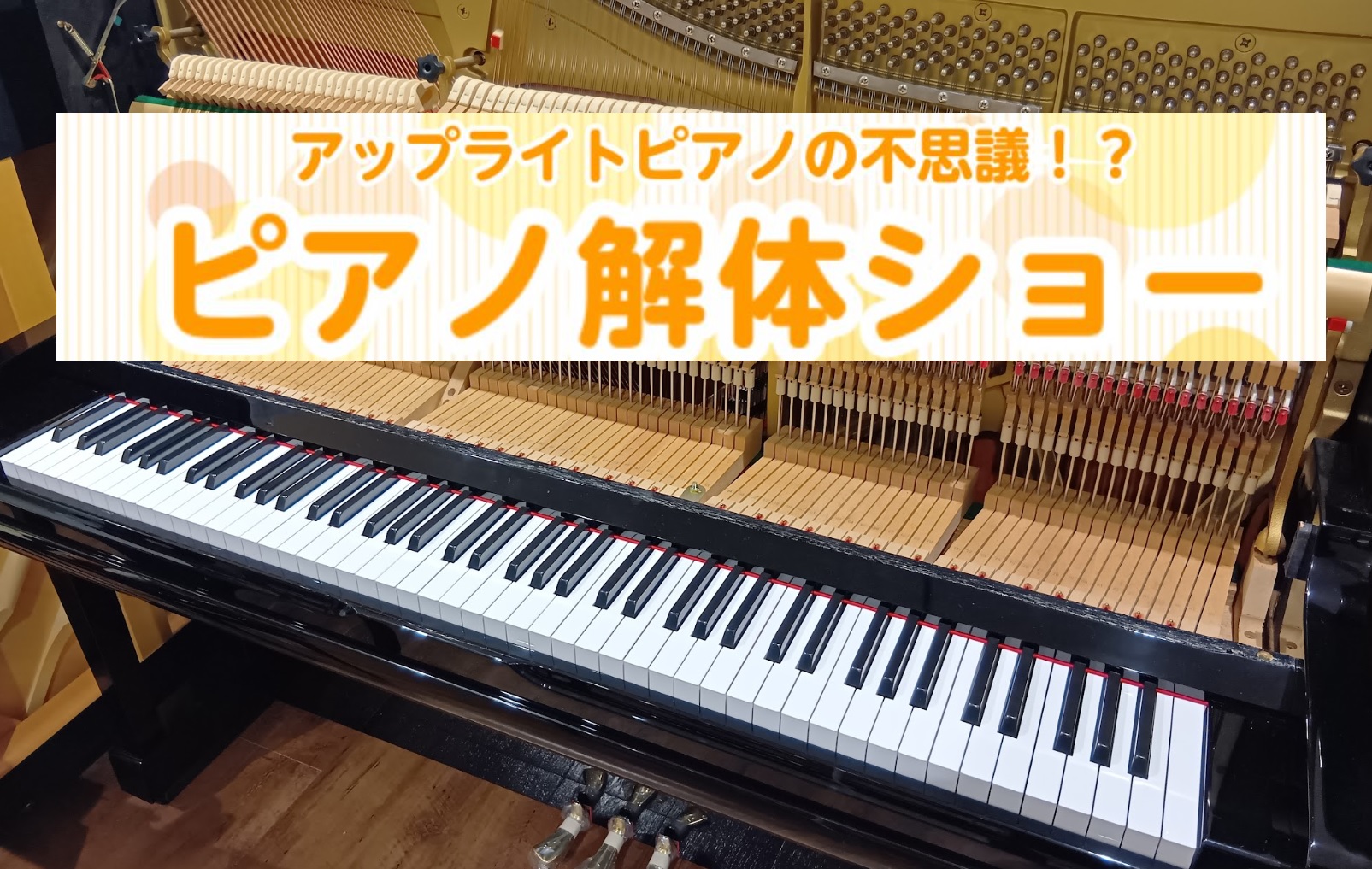 皆さまこんにちは。電子ピアノ担当の岩田（いわた）です。 夏真っ盛りの暑い日々が続いておりますが皆さまお盆休みのご予定はもうお決まりですか？島村楽器イオンモール堺北花田店では楽しいイベントを開催予定です。普段は見ることのできないピアノを解体してアップライトピアノの中身を見てみませんか？夏休みの自由研究 […]